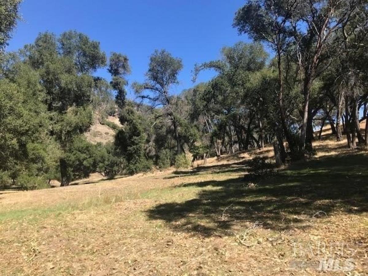 Picture of Residential Land For Sale in Calistoga, California, United States