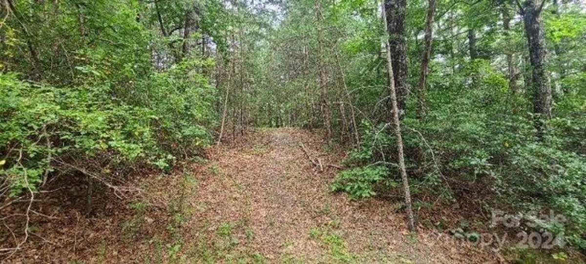 Picture of Residential Land For Sale in Ferguson, North Carolina, United States