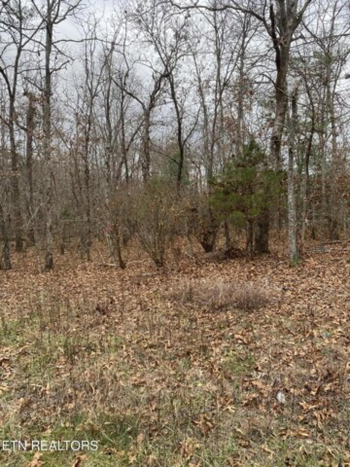 Picture of Residential Land For Rent in Crossville, Tennessee, United States