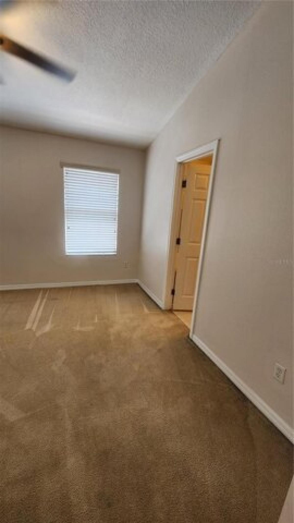 Picture of Home For Rent in Windermere, Florida, United States