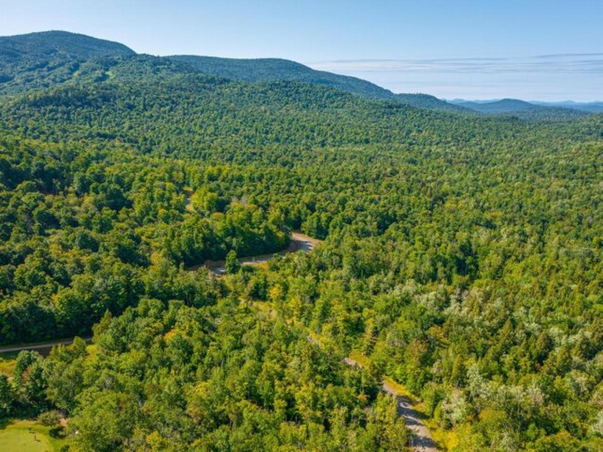 Picture of Residential Land For Sale in Tupper Lake, New York, United States