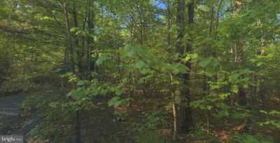 Residential Land For Sale in Gerrardstown, West Virginia