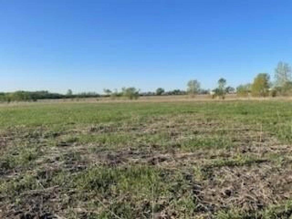 Picture of Residential Land For Sale in Justin, Texas, United States