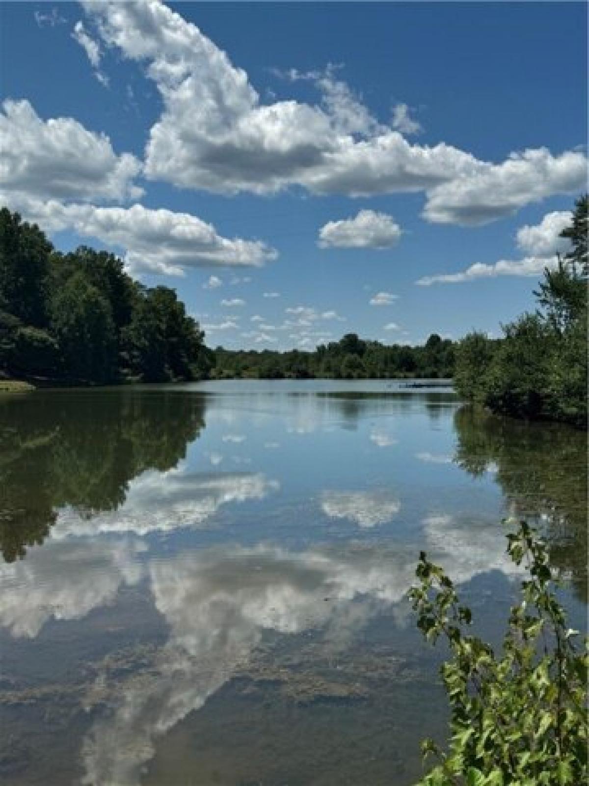 Picture of Residential Land For Sale in Liberty, South Carolina, United States