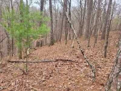 Residential Land For Sale in Ranger, Georgia