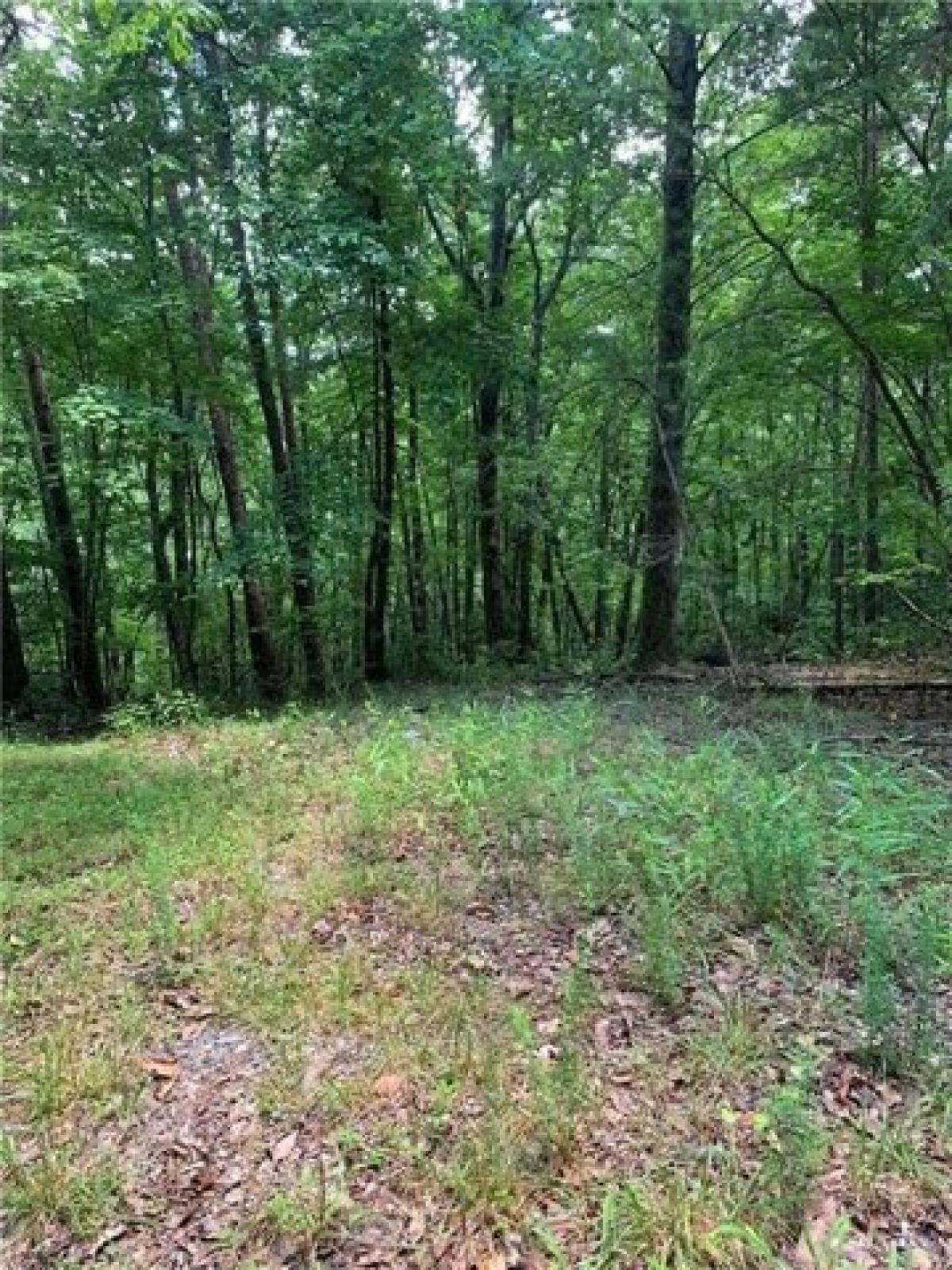 Picture of Residential Land For Sale in Talking Rock, Georgia, United States