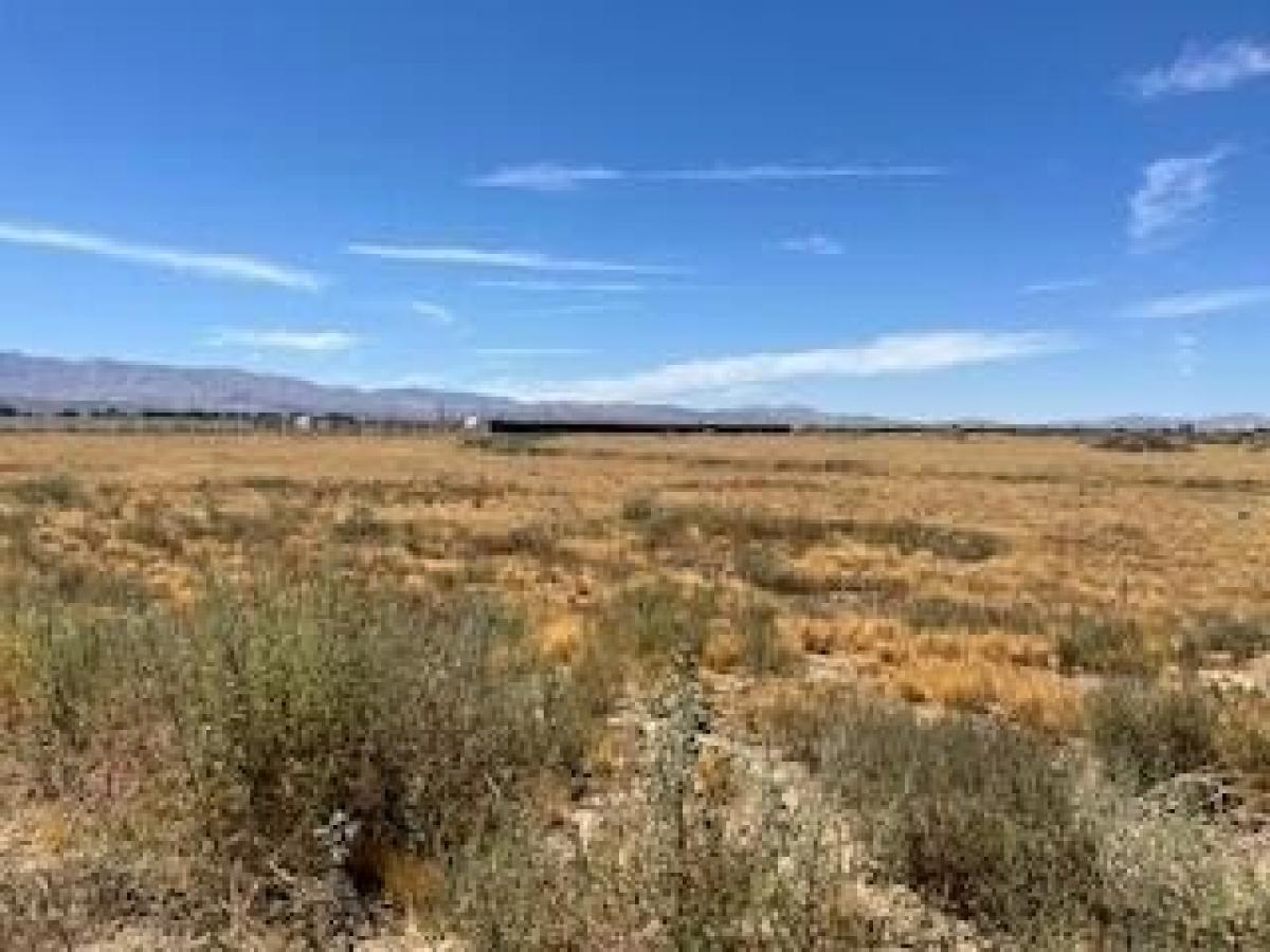 Picture of Residential Land For Sale in Palmdale, California, United States