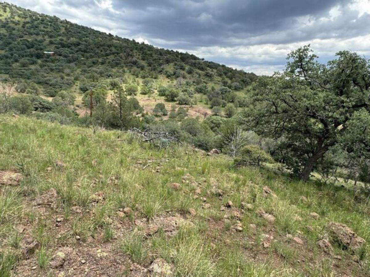 Picture of Residential Land For Sale in Fort Davis, Texas, United States