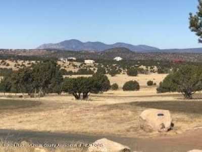 Residential Land For Sale in Alto, New Mexico