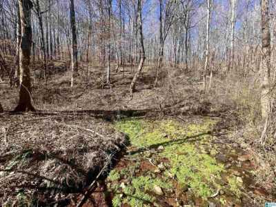 Residential Land For Sale in Remlap, Alabama