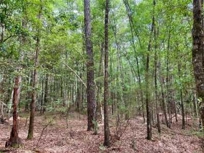 Residential Land For Sale in Stockton, Alabama