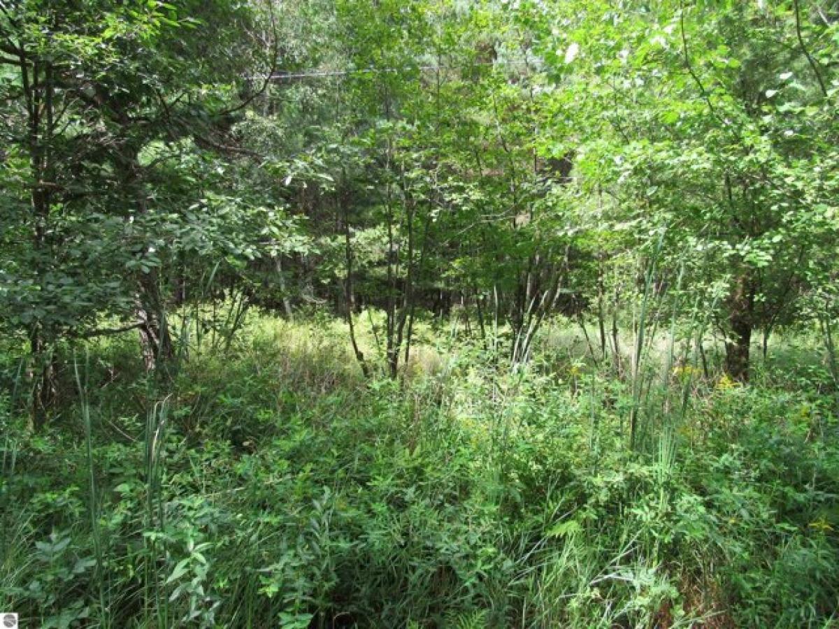 Picture of Residential Land For Sale in Tawas City, Michigan, United States