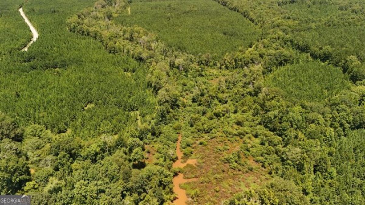 Picture of Residential Land For Sale in Waverly Hall, Georgia, United States