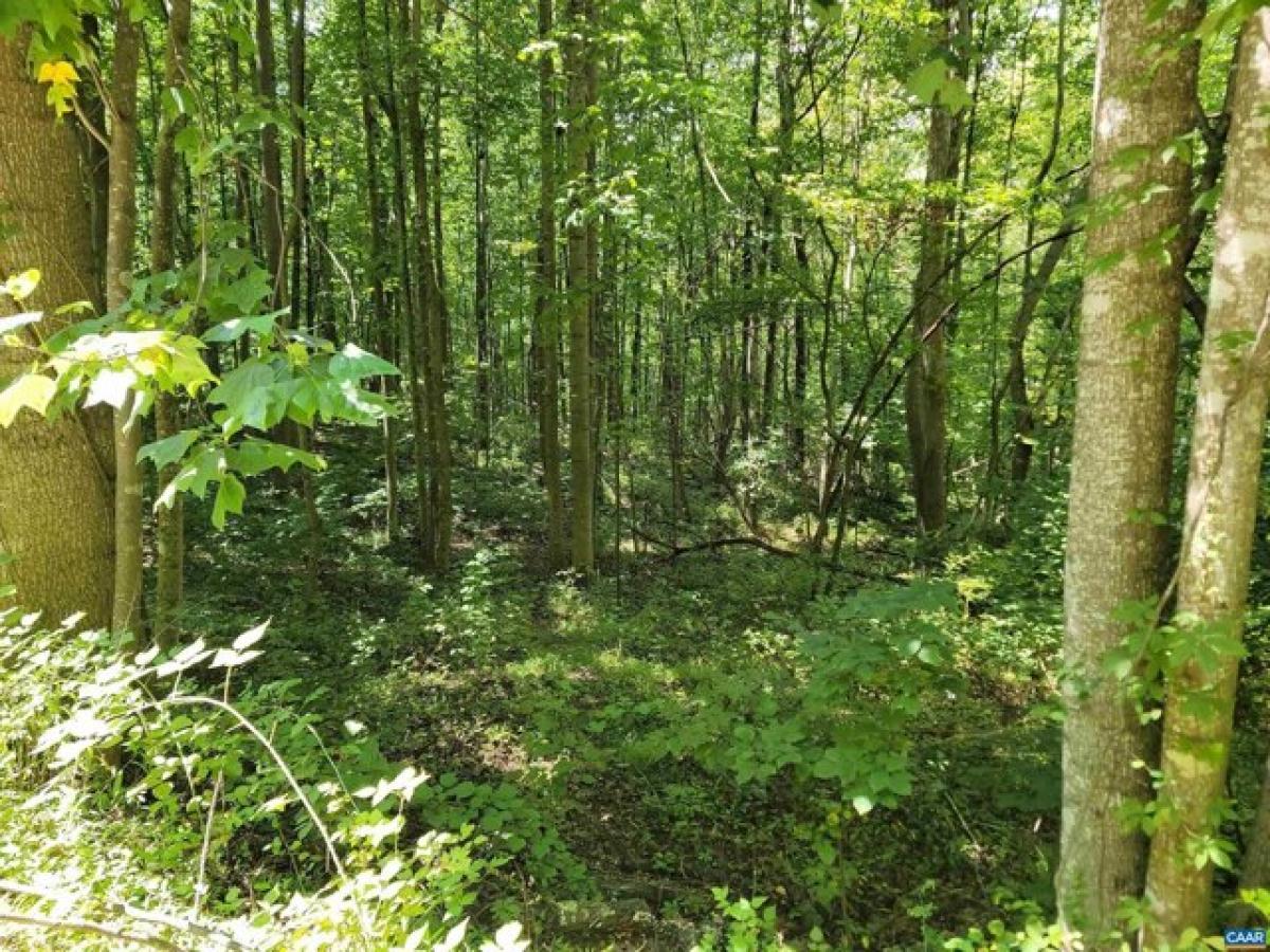 Picture of Residential Land For Sale in Stanardsville, Virginia, United States