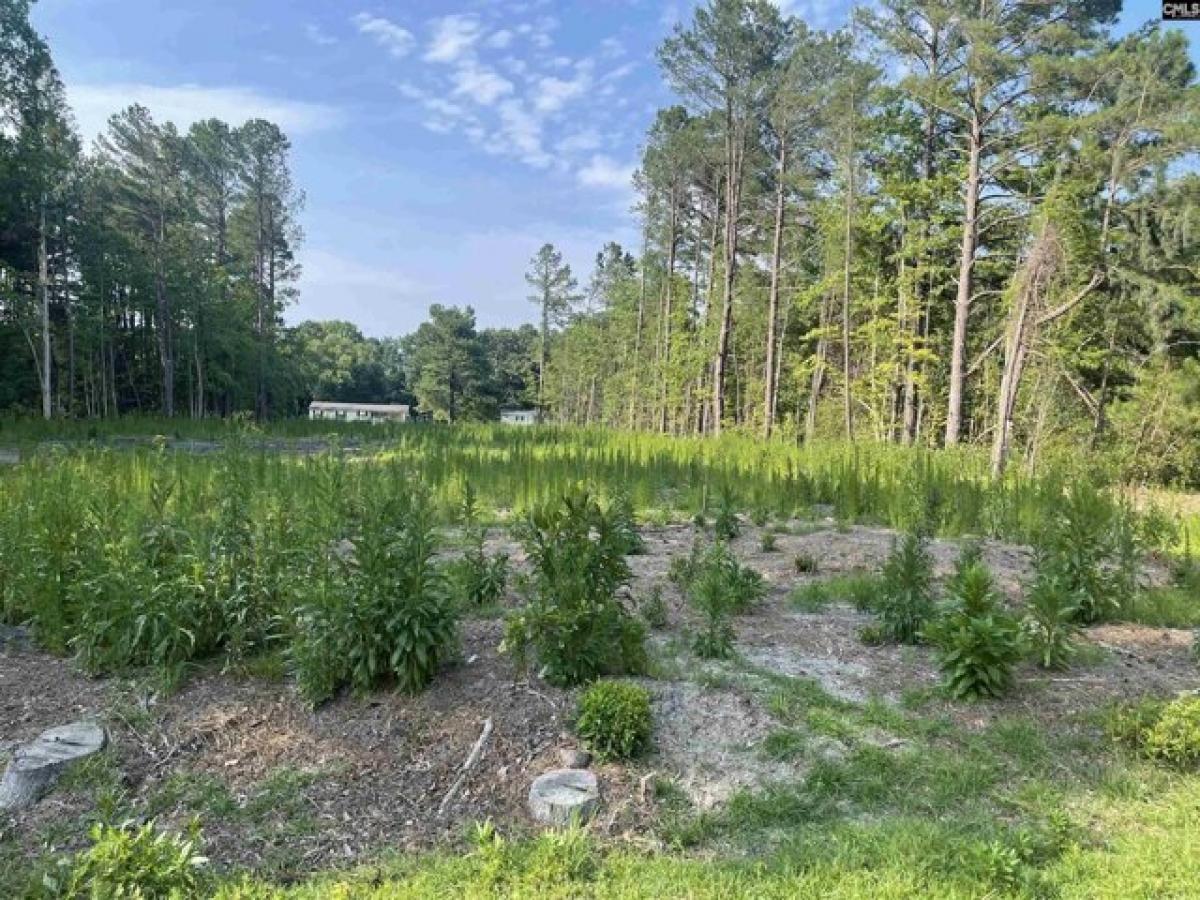 Picture of Residential Land For Sale in Sumter, South Carolina, United States