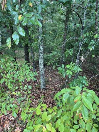 Residential Land For Sale in Hot Springs, Arkansas