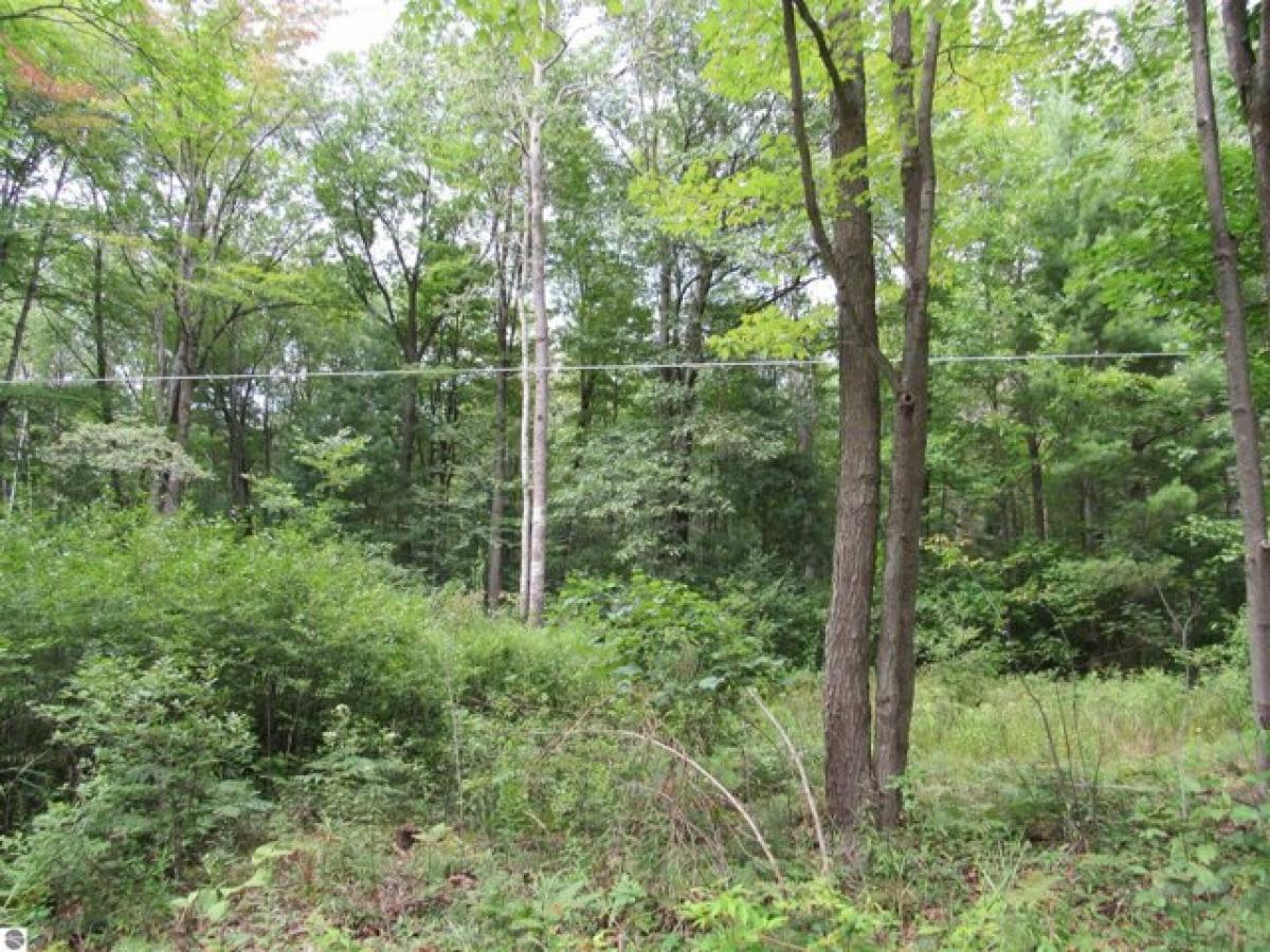 Picture of Residential Land For Sale in Tawas City, Michigan, United States