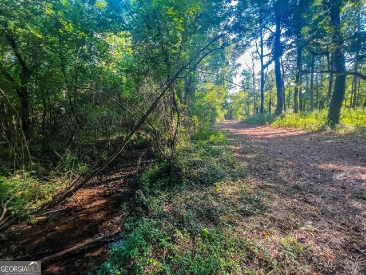 Picture of Residential Land For Sale in Lindale, Georgia, United States