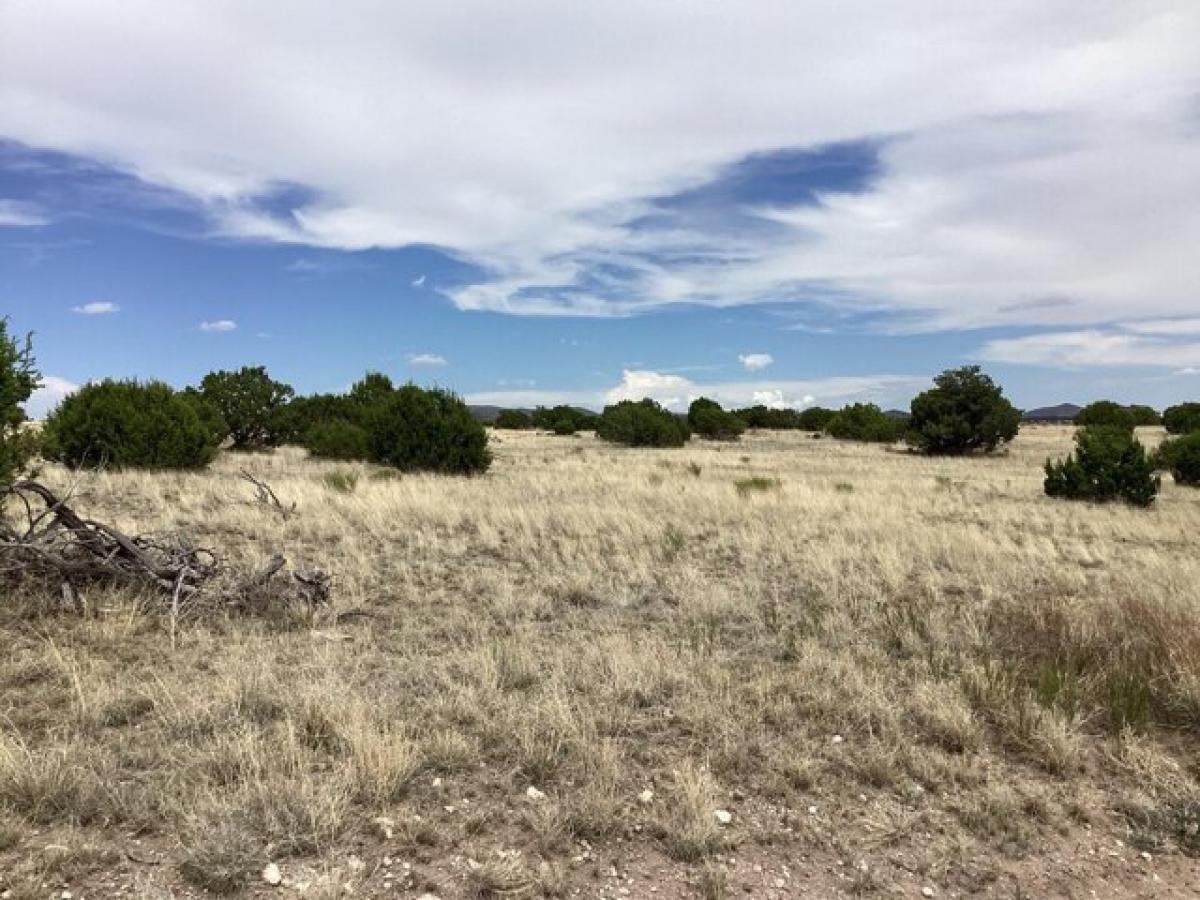 Picture of Residential Land For Sale in Magdalena, New Mexico, United States