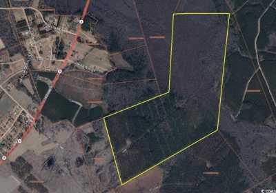 Residential Land For Sale in Marion, South Carolina