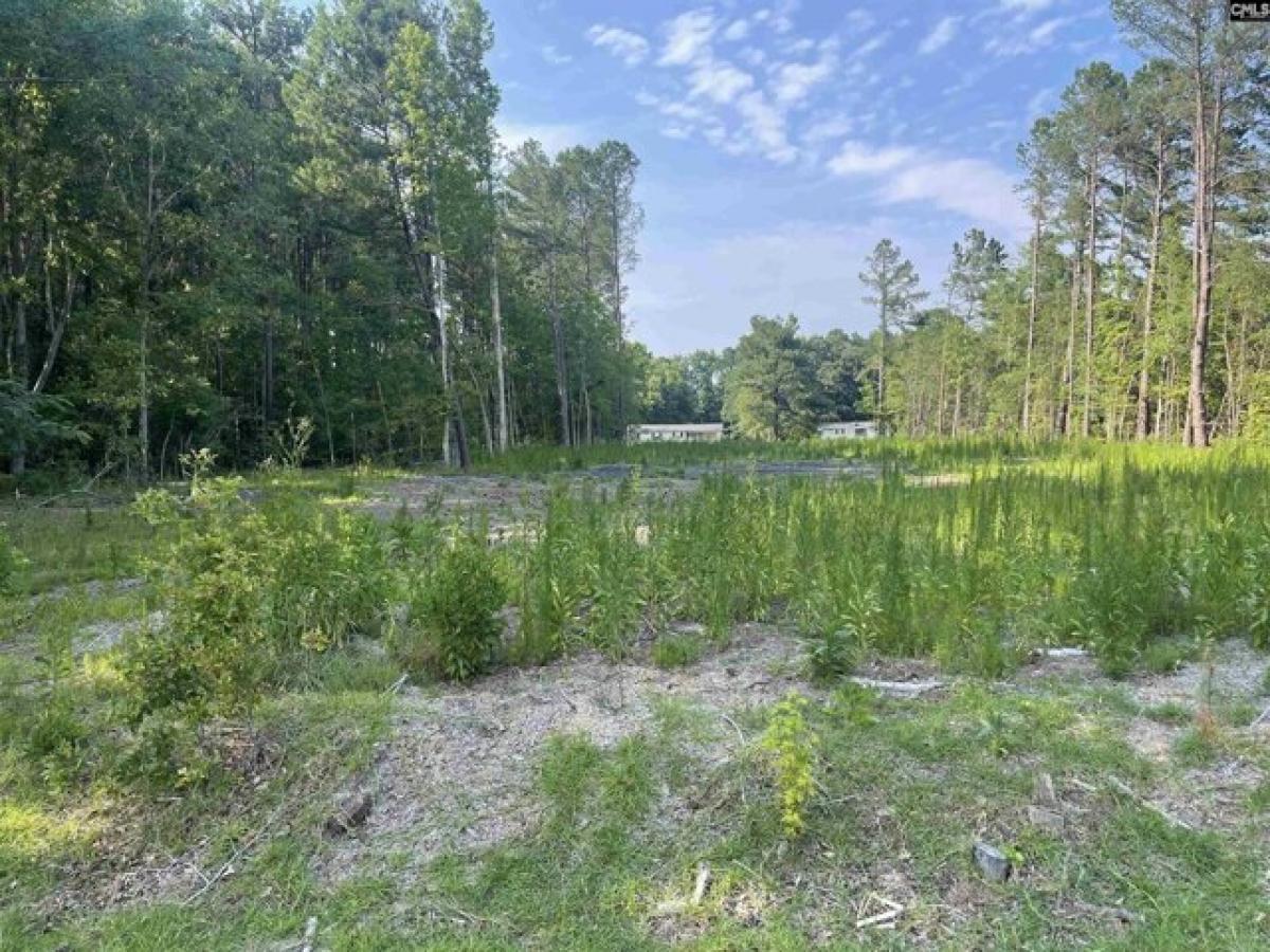 Picture of Residential Land For Sale in Sumter, South Carolina, United States