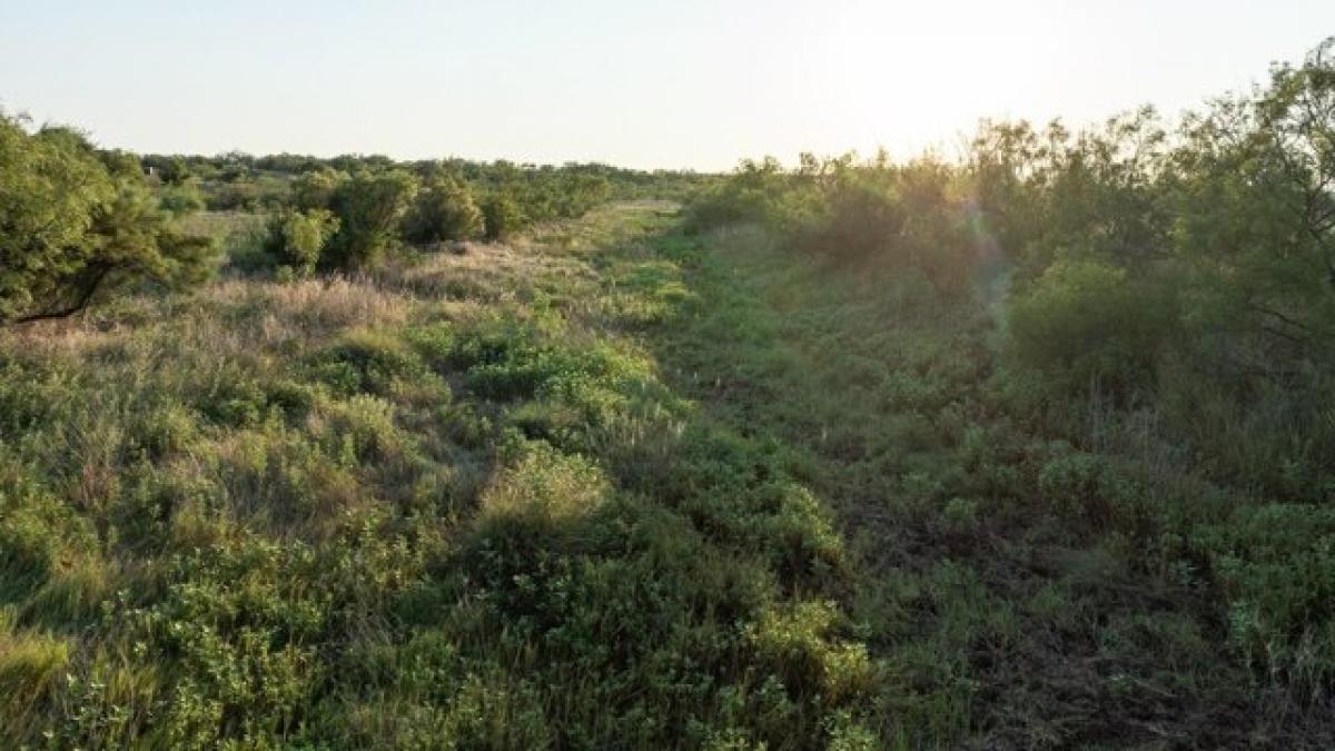 Picture of Residential Land For Sale in Vernon, Texas, United States