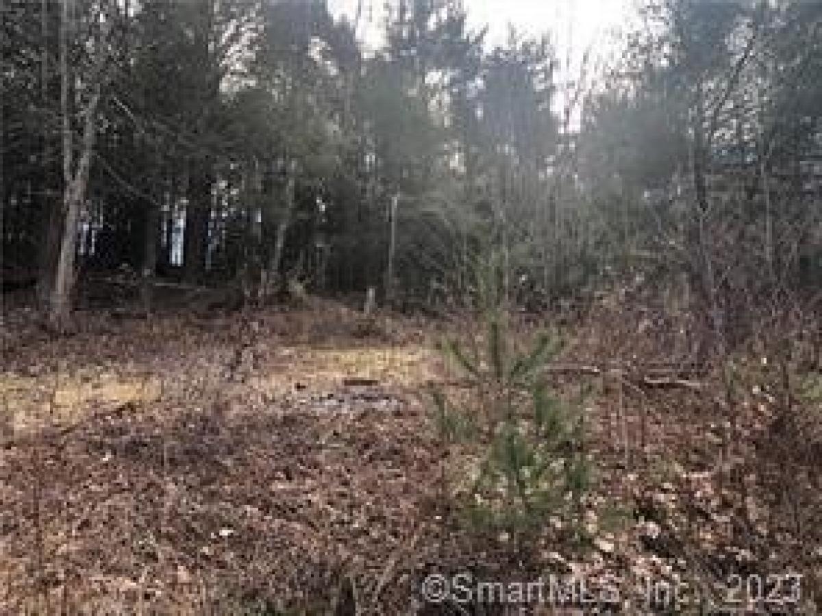 Picture of Residential Land For Sale in Thomaston, Connecticut, United States