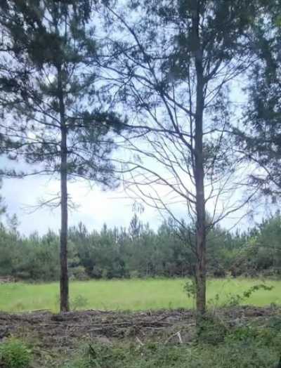 Residential Land For Sale in 