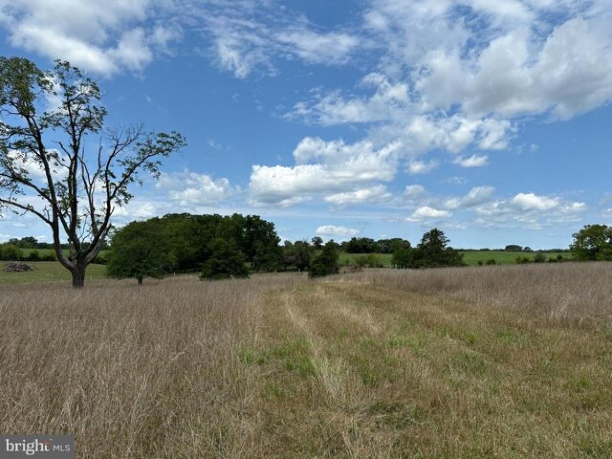 Picture of Residential Land For Sale in Middletown, Virginia, United States