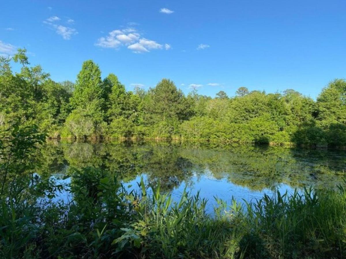 Picture of Residential Land For Sale in Aiken, South Carolina, United States