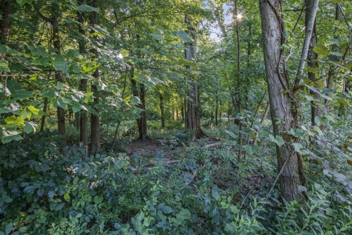 Picture of Residential Land For Sale in Union Pier, Michigan, United States