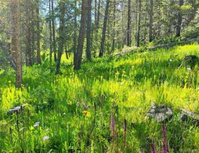 Residential Land For Sale in Leadville, Colorado