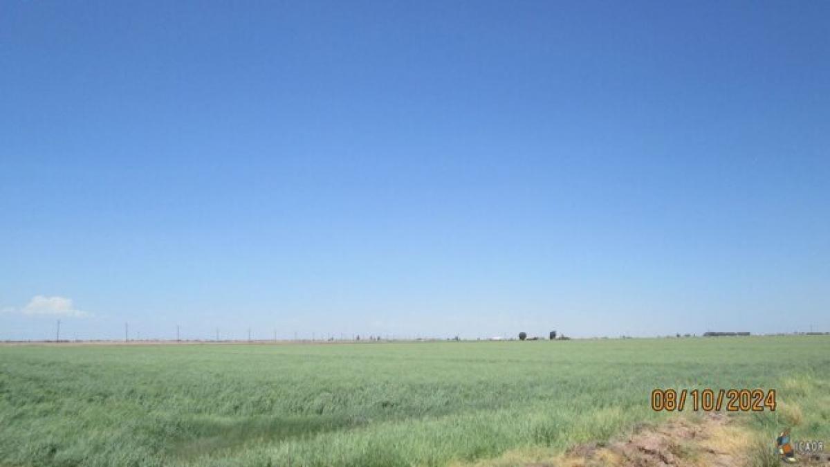 Picture of Residential Land For Sale in Calexico, California, United States