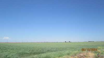 Residential Land For Sale in Calexico, California