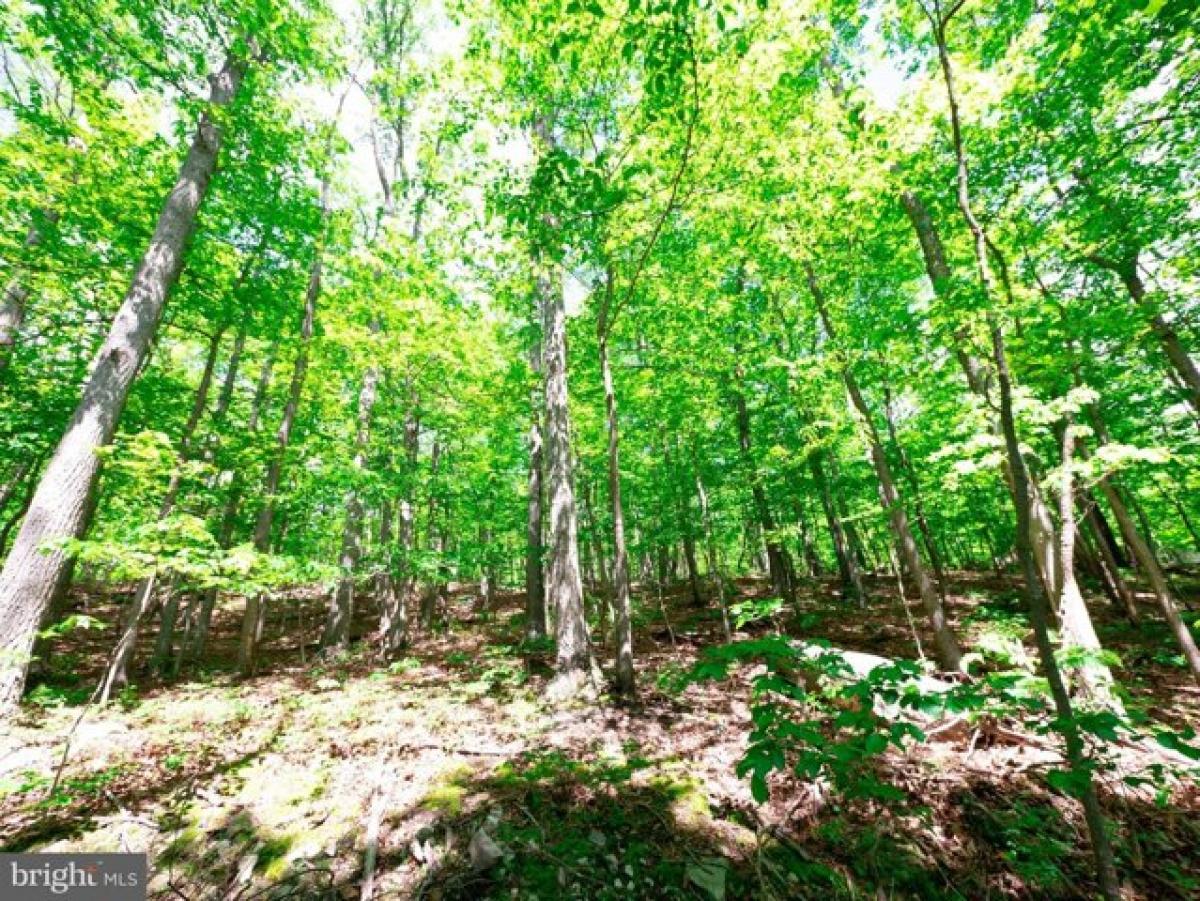 Picture of Residential Land For Sale in Winchester, Virginia, United States