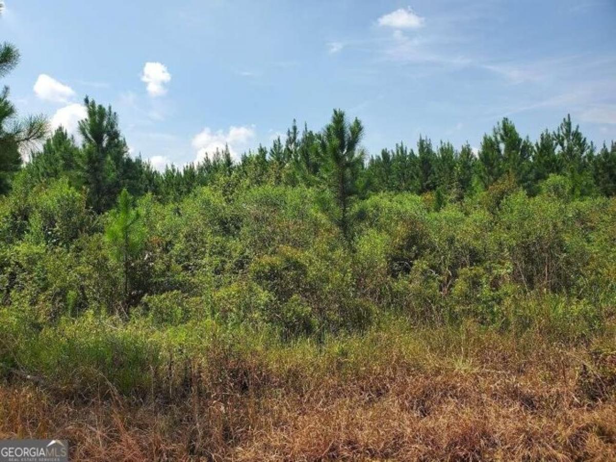 Picture of Residential Land For Sale in Rochelle, Georgia, United States