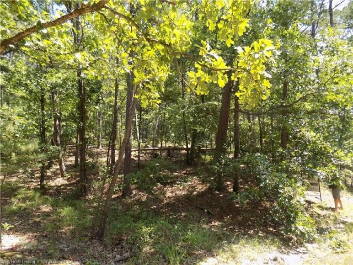 Picture of Residential Land For Sale in Hot Springs Village, Arkansas, United States