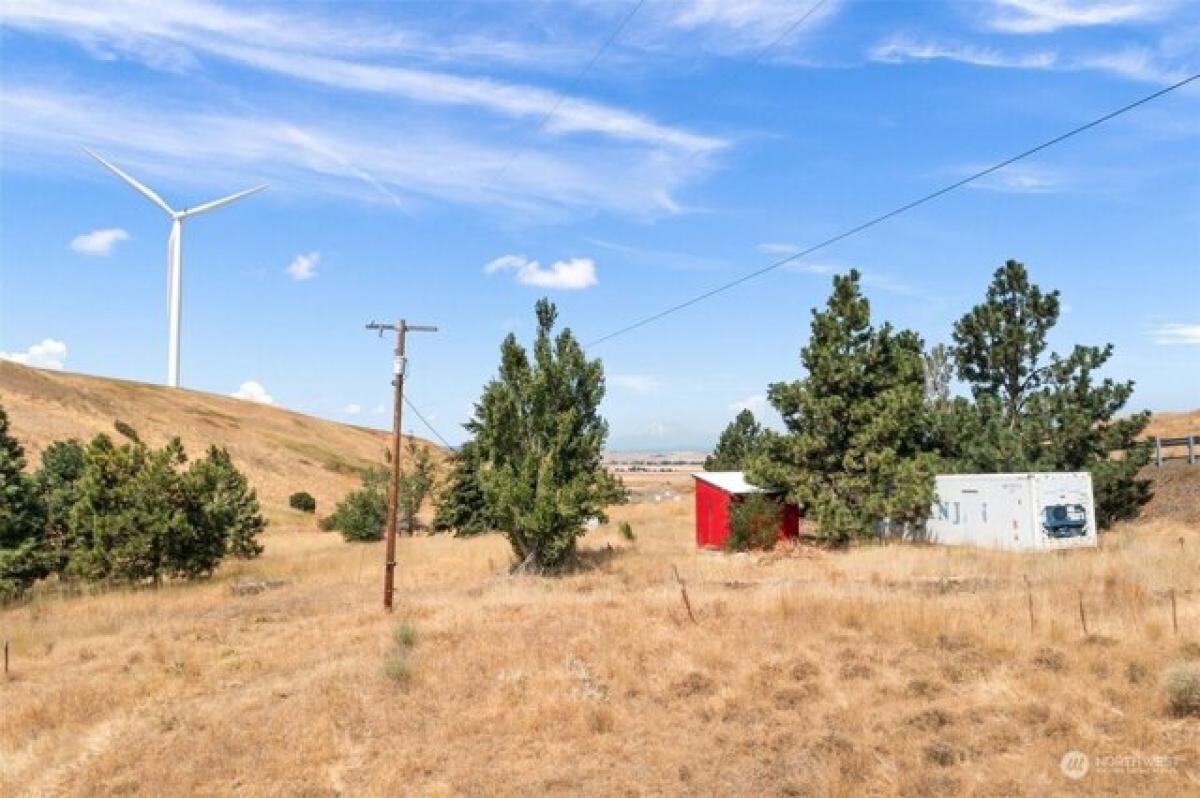 Picture of Residential Land For Sale in Centerville, Washington, United States