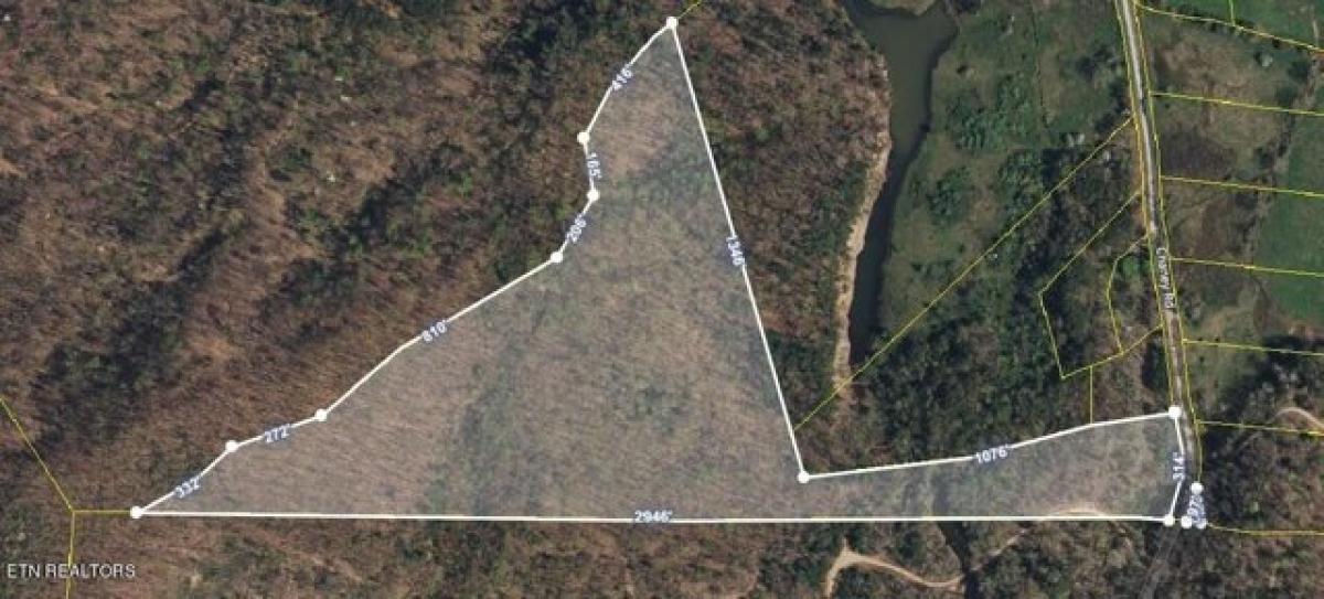 Picture of Residential Land For Sale in Sunbright, Tennessee, United States