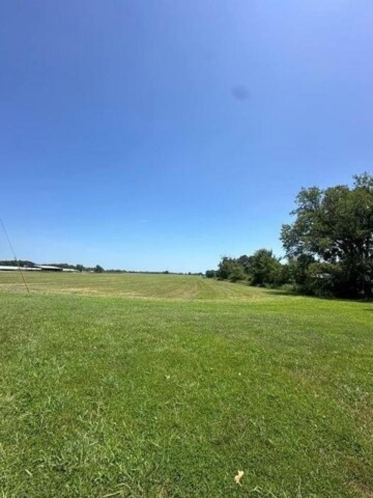 Picture of Residential Land For Sale in Oak Grove, Arkansas, United States