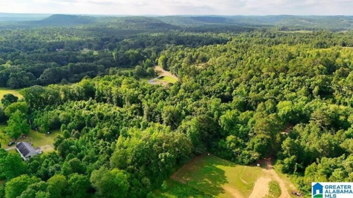 Picture of Residential Land For Sale in Oakman, Alabama, United States