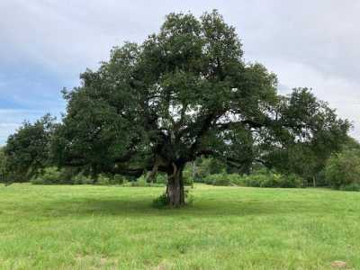 Residential Land For Sale in Church Point, Louisiana