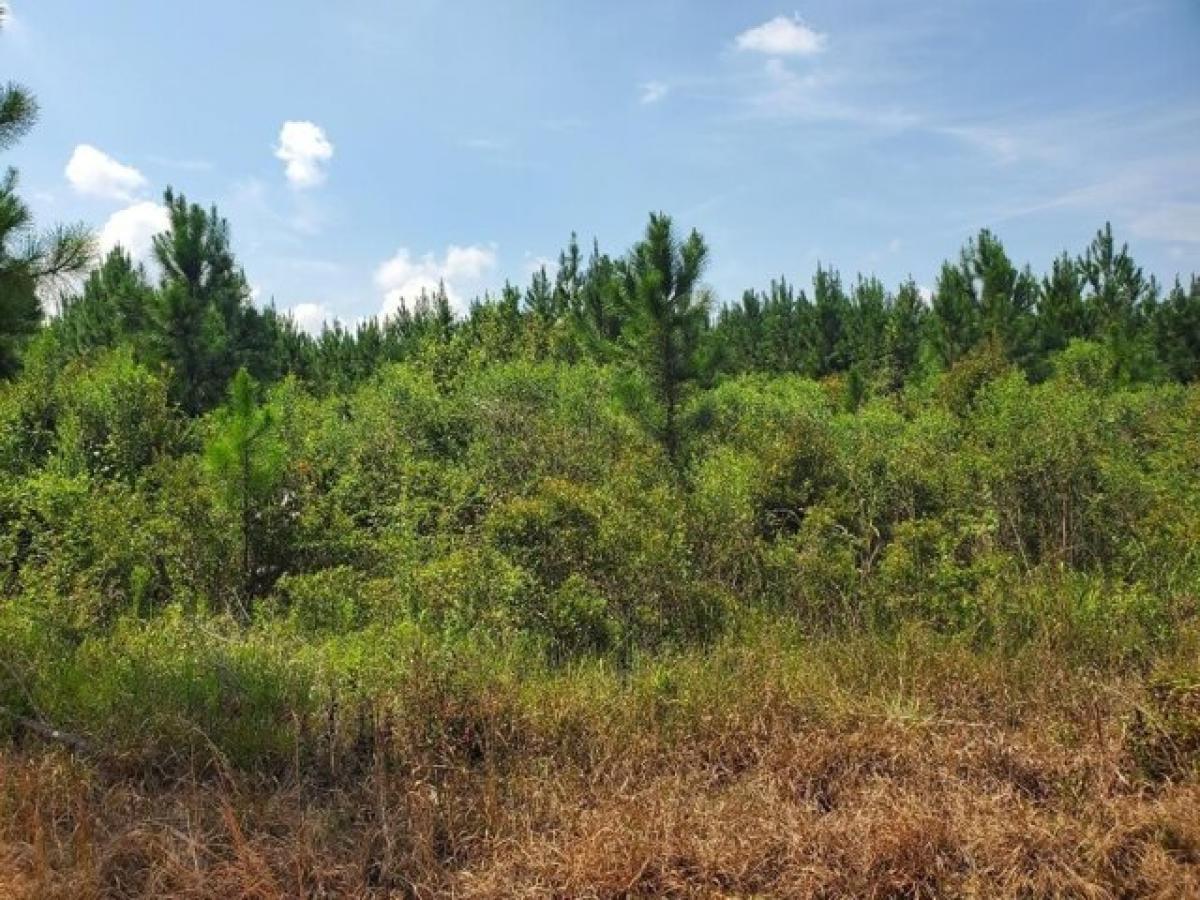 Picture of Residential Land For Sale in Rochelle, Georgia, United States