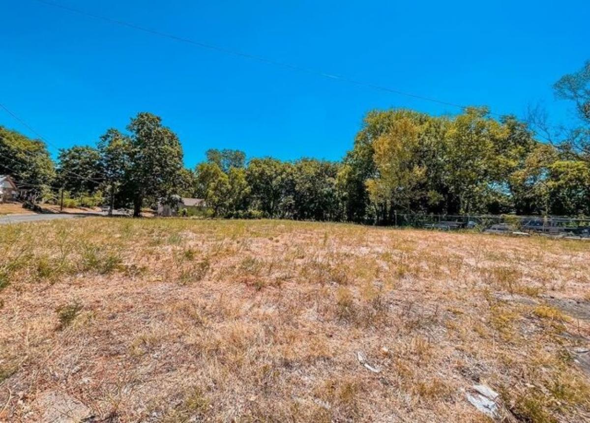 Picture of Residential Land For Sale in Palestine, Texas, United States