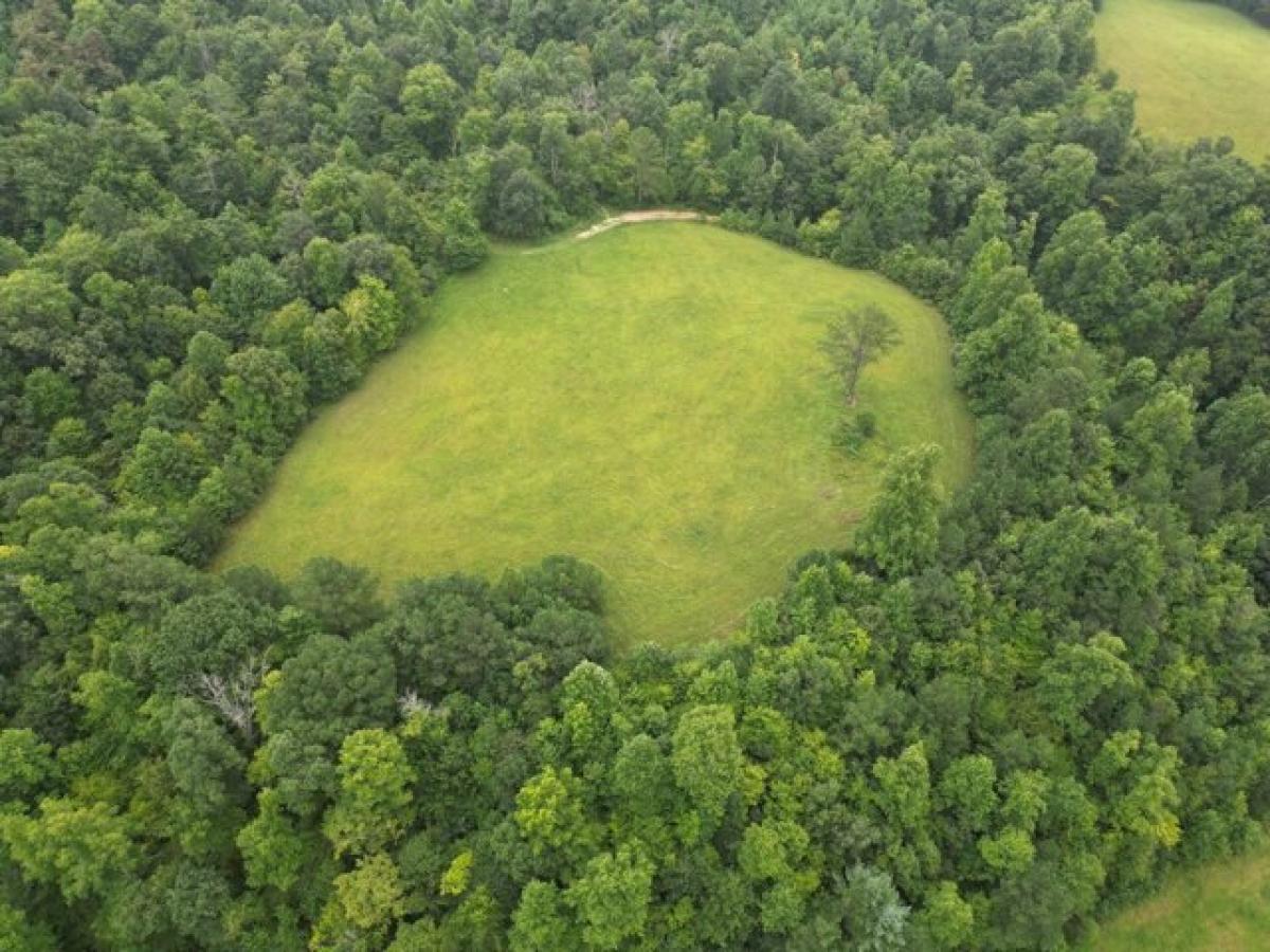 Picture of Residential Land For Sale in Williamsburg, Kentucky, United States