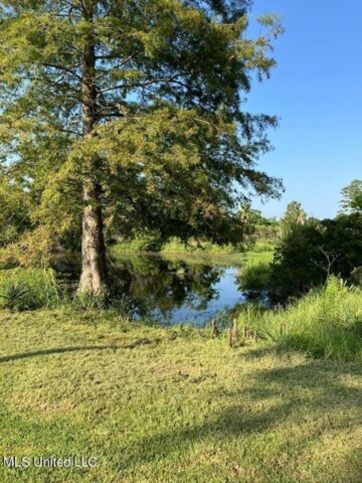 Picture of Residential Land For Sale in Pearlington, Mississippi, United States