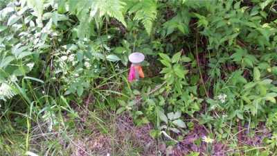 Residential Land For Sale in 