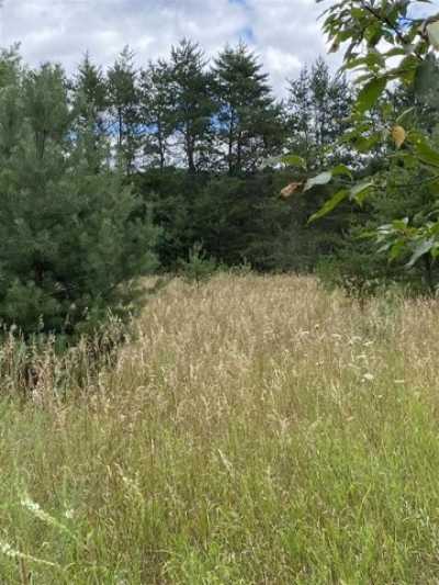 Residential Land For Sale in Mancelona, Michigan