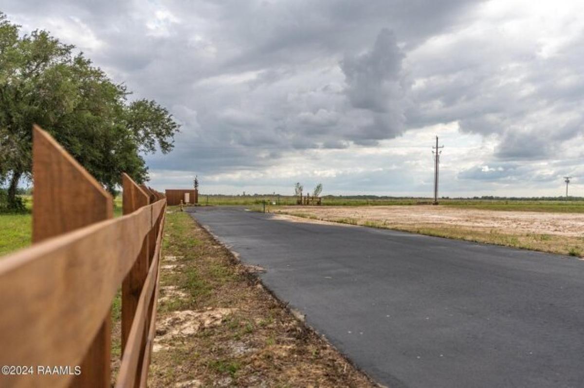 Picture of Residential Land For Sale in Gueydan, Louisiana, United States