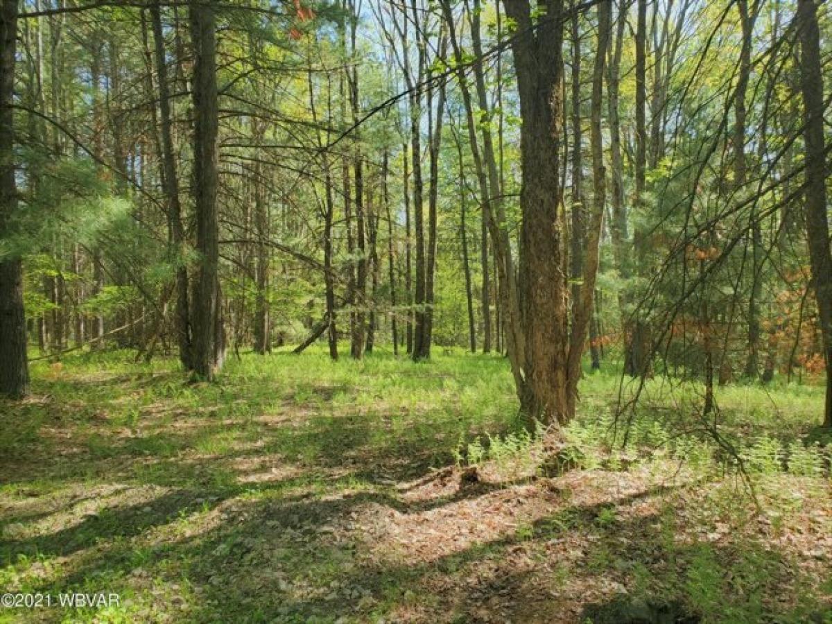 Picture of Residential Land For Sale in Lock Haven, Pennsylvania, United States